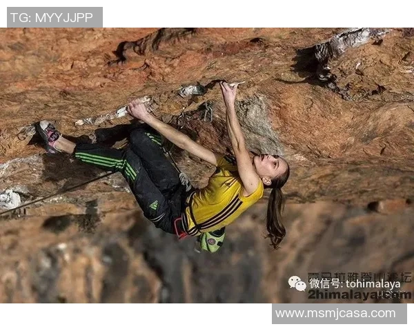 攀岩女神张丽的成功秘诀与心路历程全揭秘